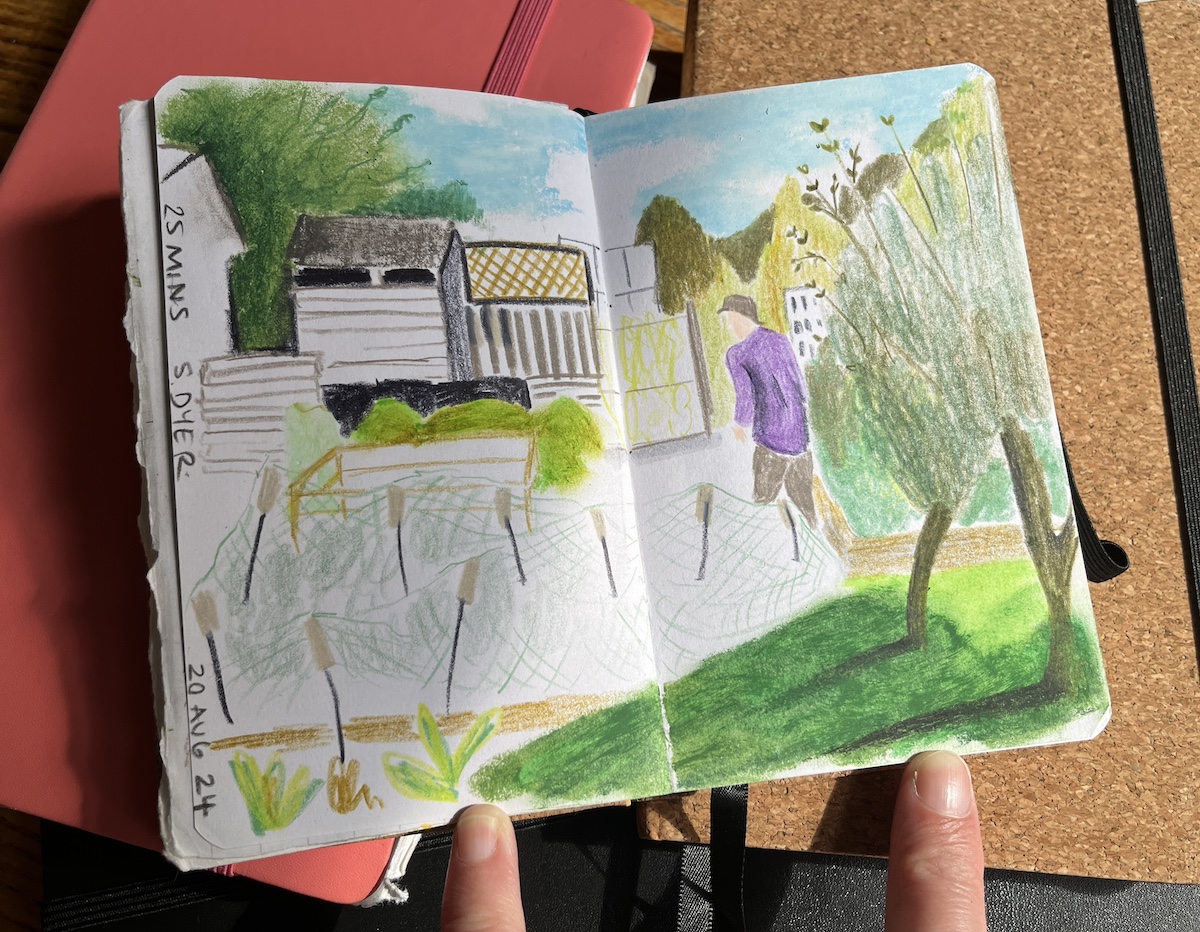 25 minute drawing from allotment session