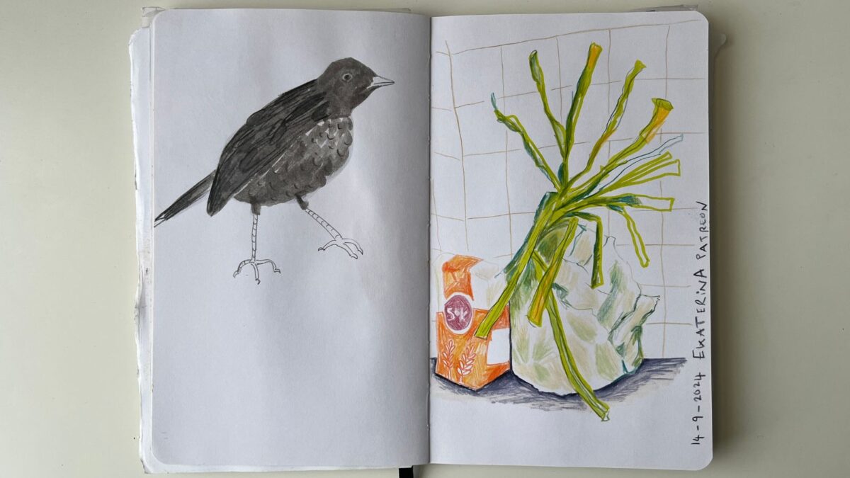Simple drawings - a black bird on the left and a still life on the right