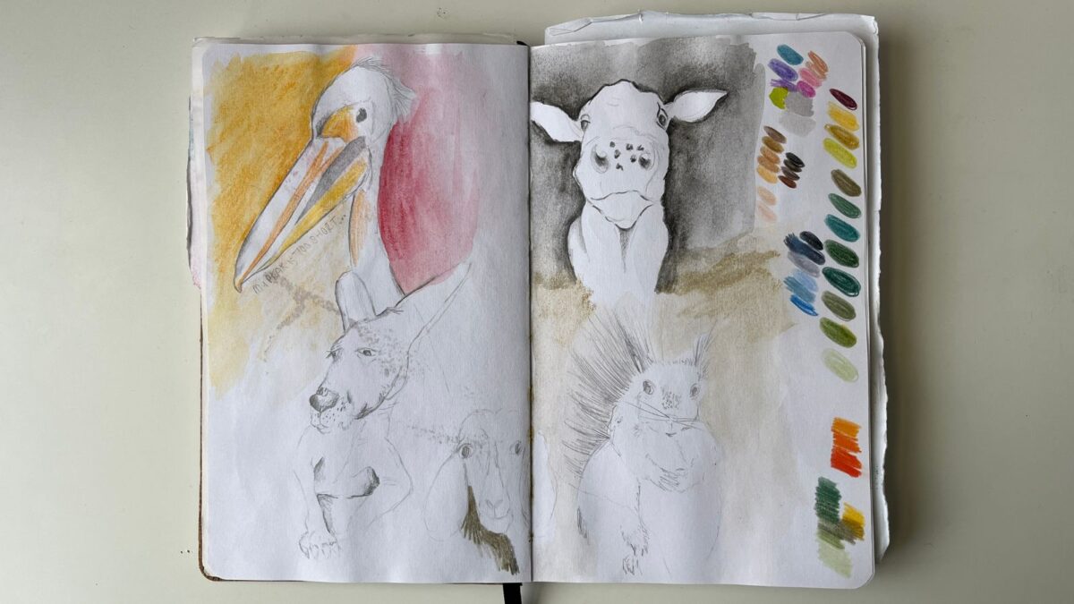 Sketches of animal portraits, done on a train from London